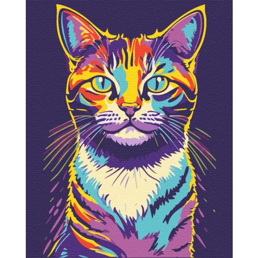 Pop cat - Számfestő készlet kereten 40x50