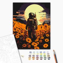 Eltévedt űrhajós - Számfestő készlet kereten 40x50