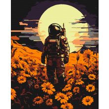 Eltévedt űrhajós - Számfestő készlet kereten 40x50