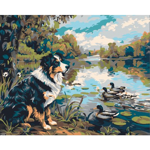 A kacsák őrzője - Számfestő készlet kereten 40x50