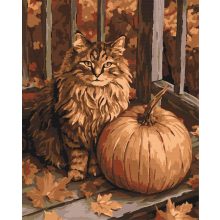 Őszi macska - Számfestő készlet kereten 40x50