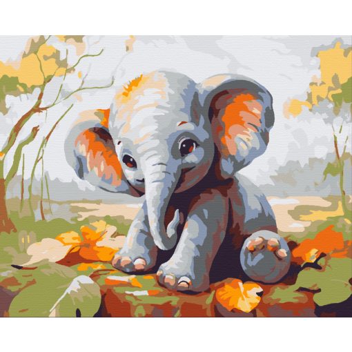 Kiselefánt - Számfestő készlet kereten 40x50