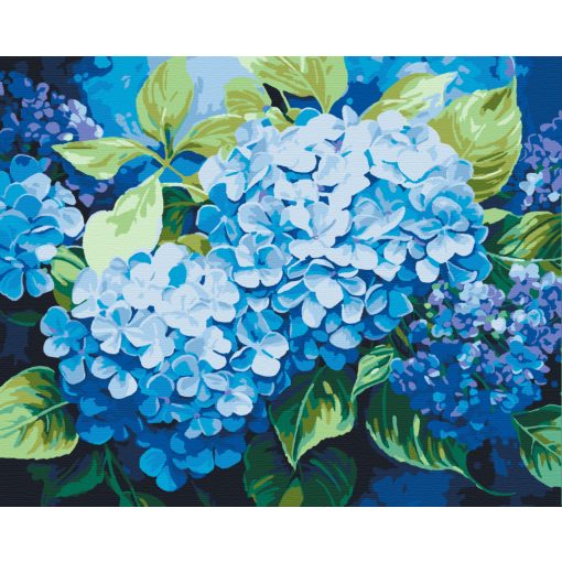 Kék hortenzia - Számfestő készlet kereten 40x50