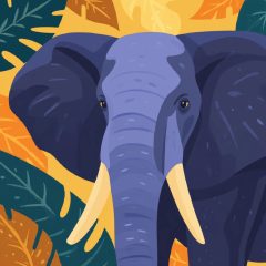 Elefántportré - Számfestő készlet kereten 40x40