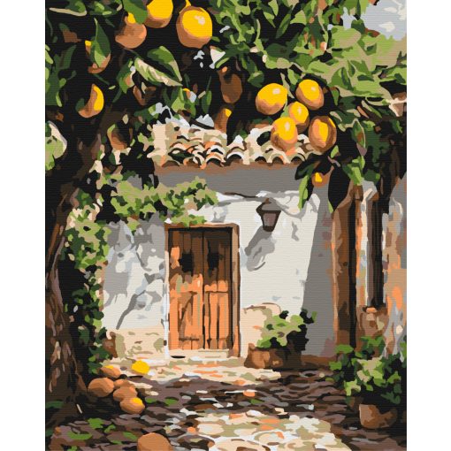 Citromkert - Számfestő készlet kereten 40x50