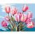   Rózsaszín tulipán csokor - Számfestő készlet kereten 40x50