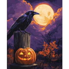 Varjú - Számfestő készlet kereten 40x50