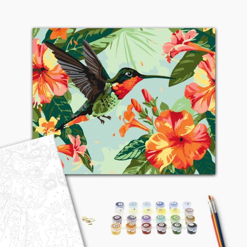 Kolibri a virágok között - Számfestő készlet kereten 40x50
