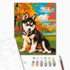 Kölyök husky - Számfestő készlet kereten 40x50