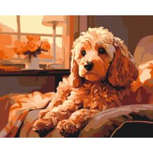 Cockapoo a kanapén - Számfestő készlet kereten 40x50
