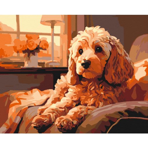Cockapoo a kanapén - Számfestő készlet kereten 40x50