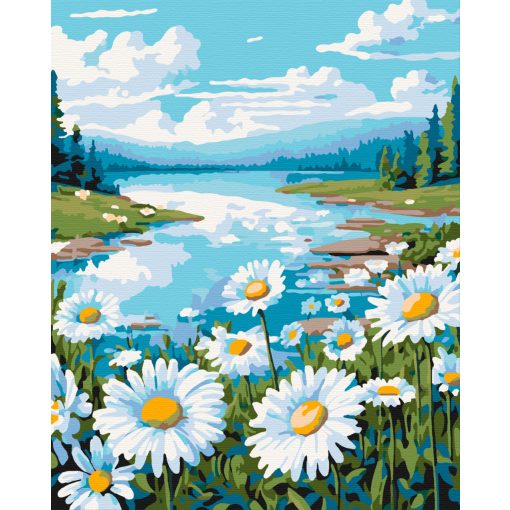 Százszorszép szimfónia - Számfestő készlet kereten 40x50