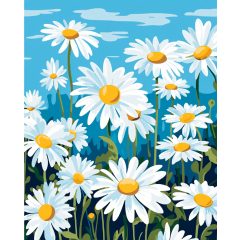 Százszorszép nyugalom - Számfestő készlet kereten 40x50