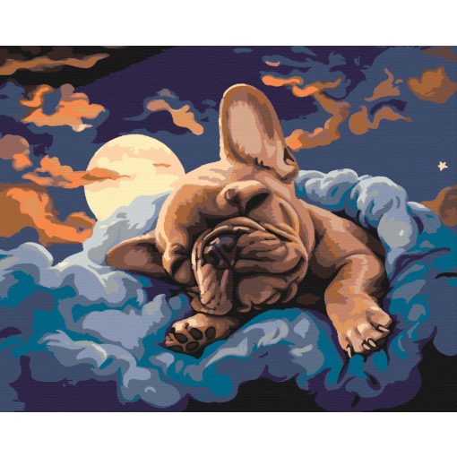 Bolldog álmok - Számfestő készlet kereten 40x50