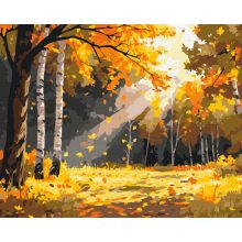 Aranyló őszi erdő - Számfestő készlet kereten 40x50