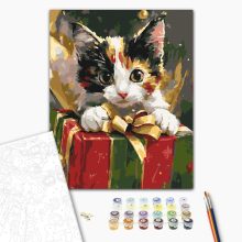 Váratlan ajándék - Számfestő készlet kereten 40x50