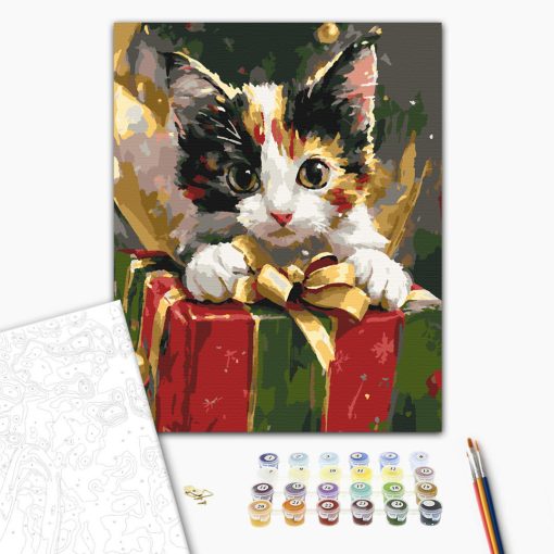 Váratlan ajándék - Számfestő készlet kereten 40x50