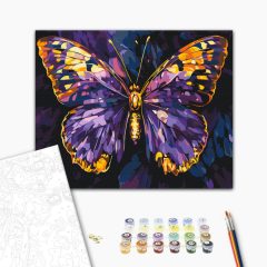   Wunderschöner Schmetterling - Malen-nach-Zahlen-Set auf Keilrahmen 40x50