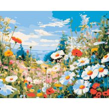 Vadvirágos rét - Számfestő készlet kereten 40x50