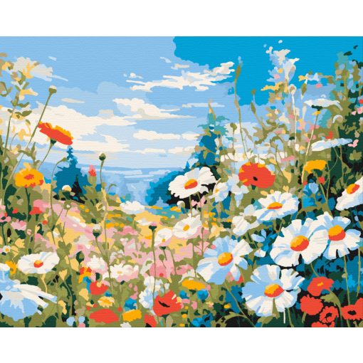 Vadvirágos rét - Számfestő készlet kereten 40x50