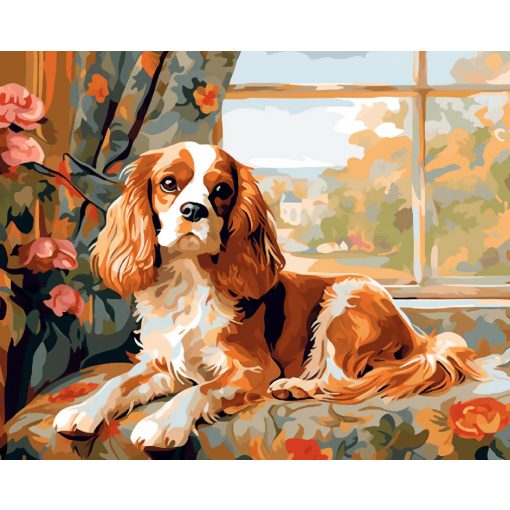 Cavalier király - Számfestő készlet kereten 40x50