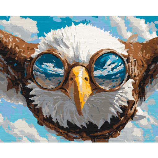 Sas repülés - Számfestő készlet kereten 40x50