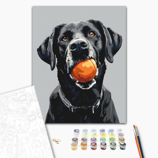 Játékidő - Számfestő készlet kereten 40x50