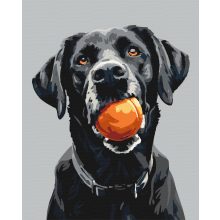 Játékidő - Számfestő készlet kereten 40x50