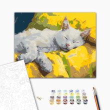 Álmos macska - Számfestő készlet kereten 40x50