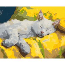 Álmos macska - Számfestő készlet kereten 40x50