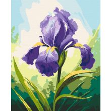 Napfényes írisz - Számfestő készlet kereten 40x50