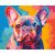 Színes bulldog - Számfestő készlet kereten 40x50