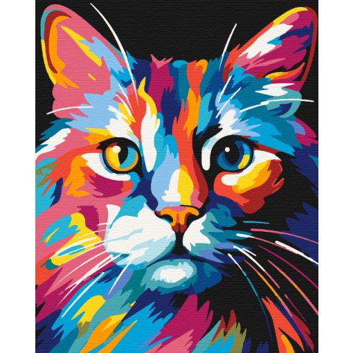 Macska színek - Számfestő készlet kereten 40x50