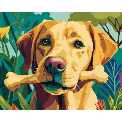 Kutyacsont - Számfestő készlet kereten 40x50