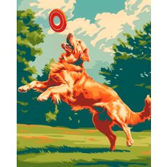 Frizbi - Számfestő készlet kereten 40x50