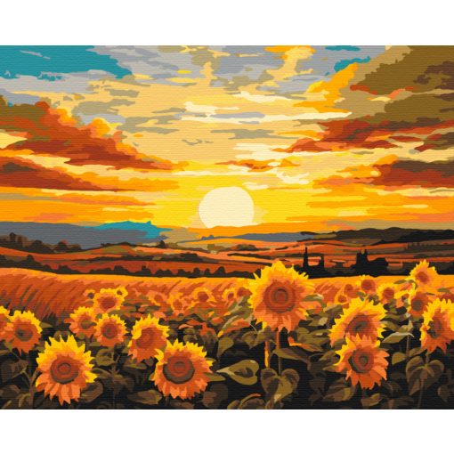 Aranymező - Számfestő készlet kereten 40x50