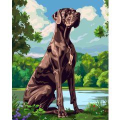 Német dog - Számfestő készlet kereten 40x50