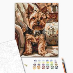 Ülő yorkie - Számfestő készlet kereten 40x50