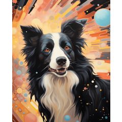 Collie - Számfestő készlet kereten 40x50