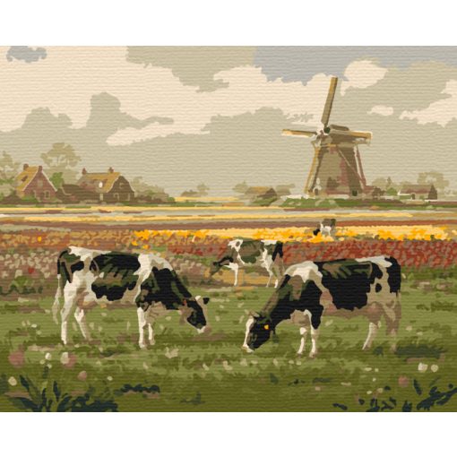 Virágmező nyugalma- Számfestő készlet kereten 40x50