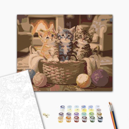 Dorombolda - Számfestő készlet kereten 40x50