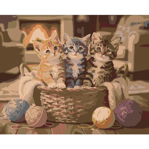 Dorombolda - Számfestő készlet kereten 40x50