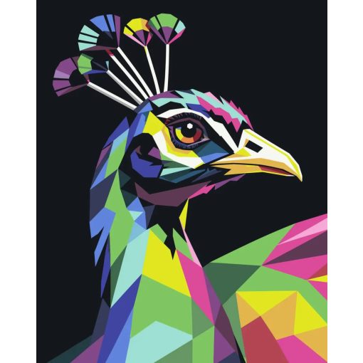 Geometrikus páva portré - Számfestő készlet kereten 40x50