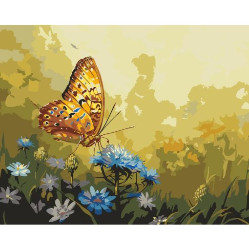 Aranyszárny - Számfestő készlet kereten 40x50