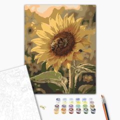   Napraforgó és méhecske - Számfestő készlet kereten 40x50