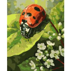   Apró felfedező, nagy világ - Számfestő készlet kereten 40x50