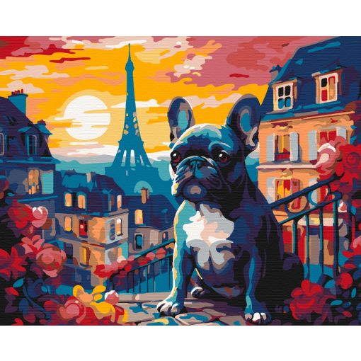 Franci a bulldog - Számfestő készlet kereten 40x50