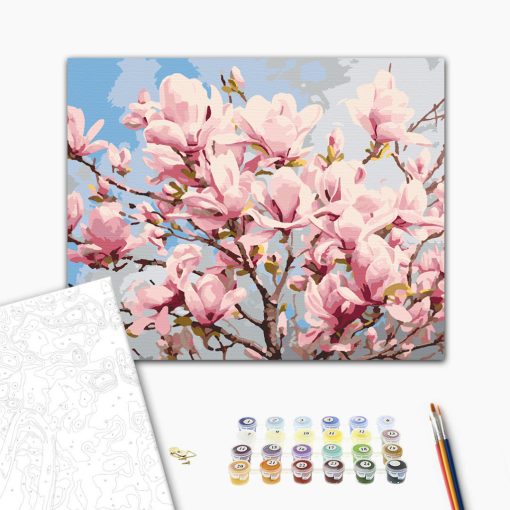 Magnóliafa virágzás - Számfestő készlet kereten 40x50