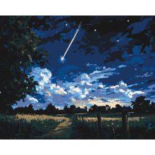 Hullócsillagos éjszaka - Számfestő készlet kereten 40x50