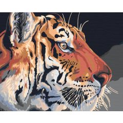  A tigris tekintete - Számfestő készlet kereten 40x48